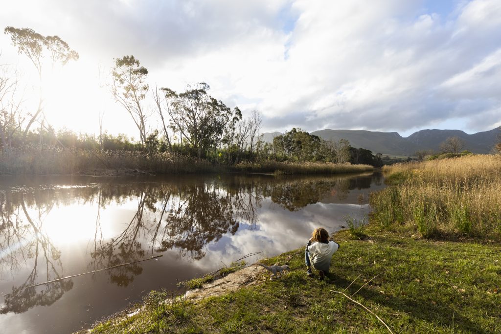 On the Road Again: Navigating the Hoedspruit-Johannesburg Route via Dullstroom and Lydenburg – The Scenic Way Forward