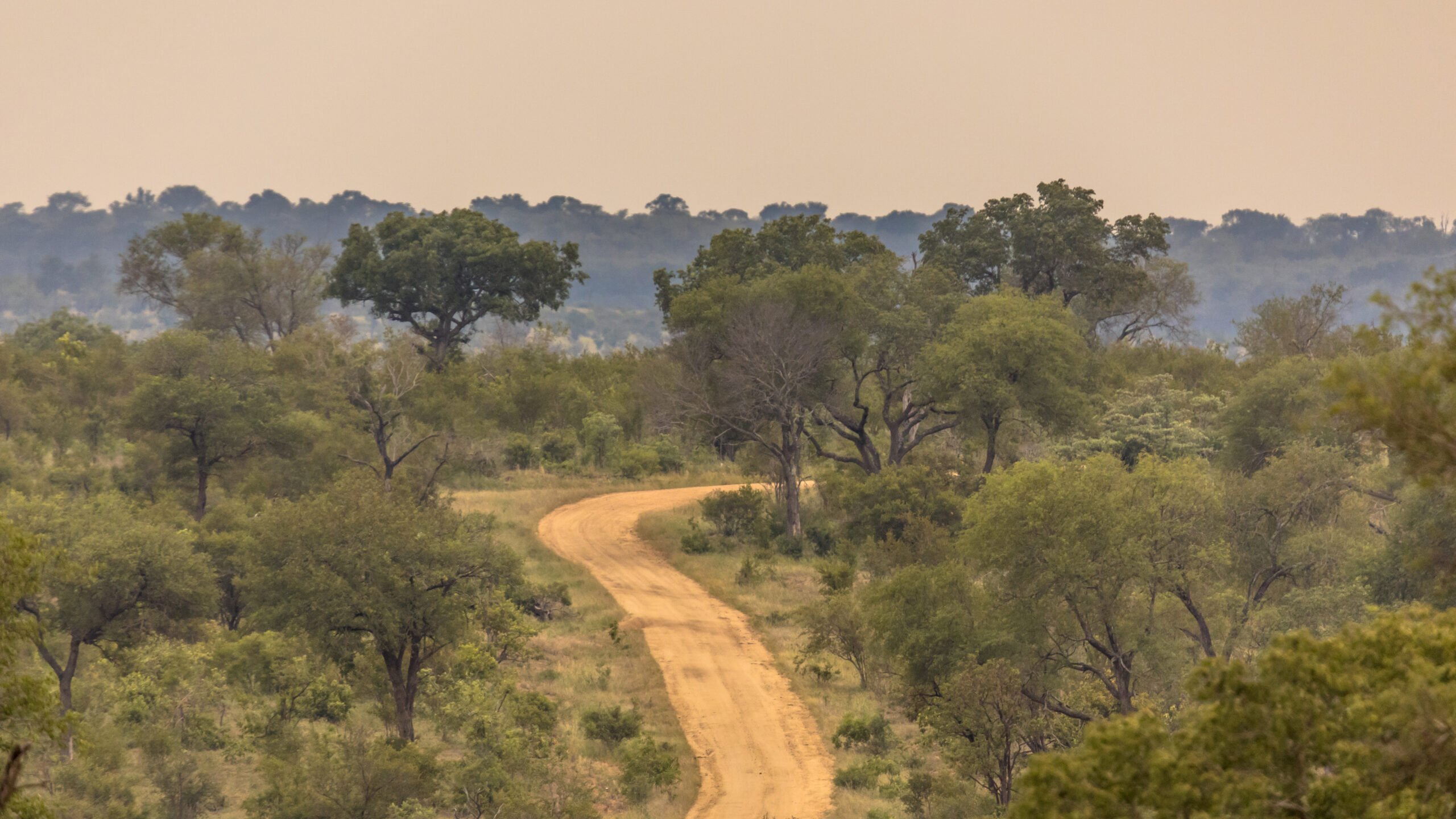 An Unprecedented Border Event in a Century of Conservation